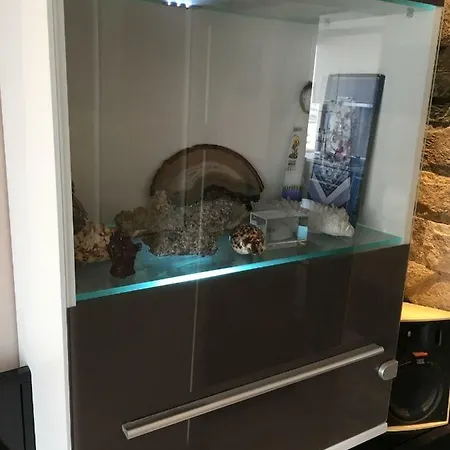 Lazur Apartment